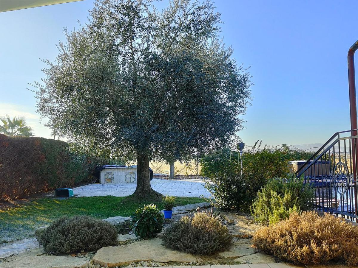 B&B Villa Letizia San Vito  Экстерьер фото