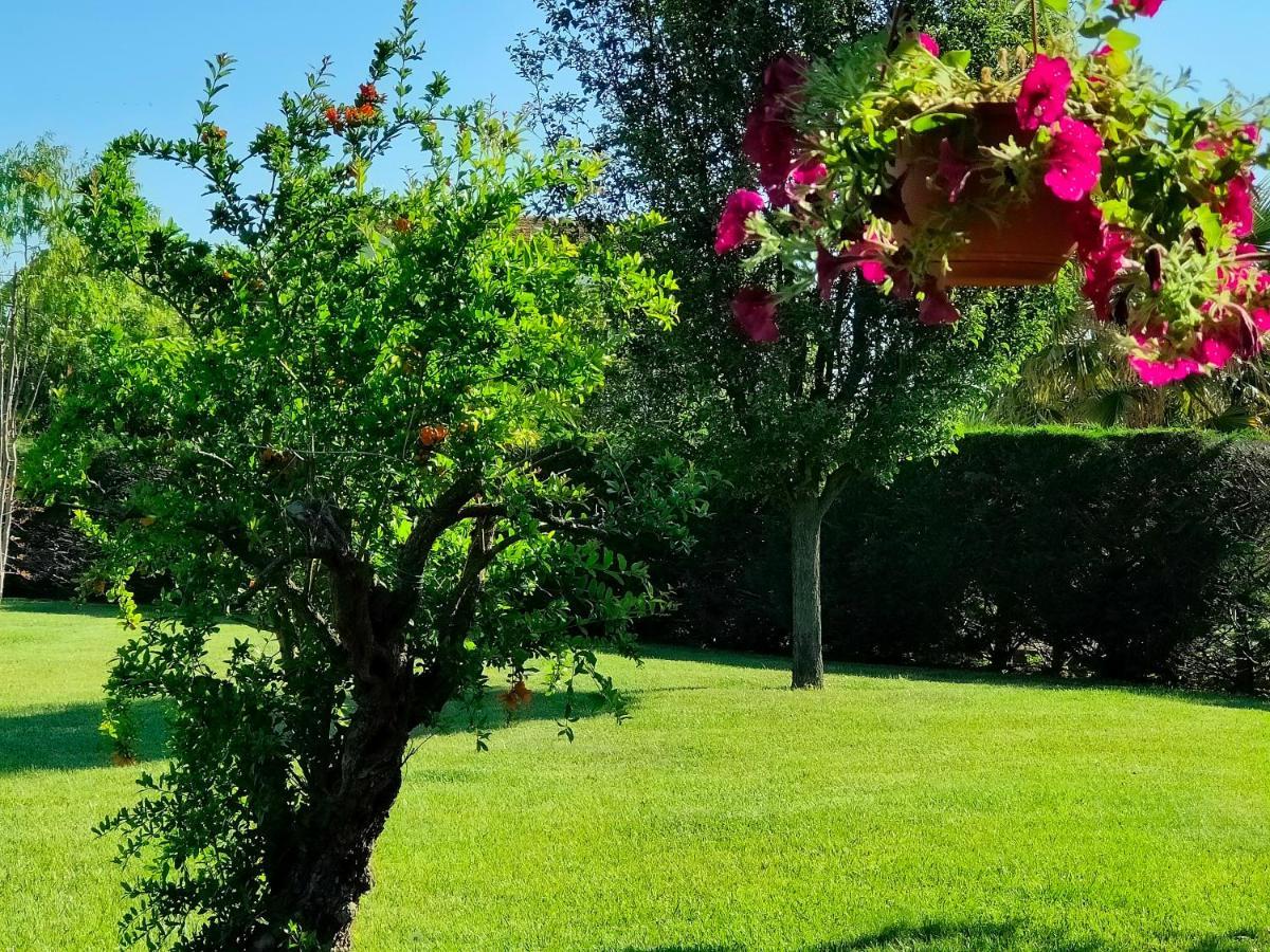 B&B Villa Letizia San Vito  Экстерьер фото